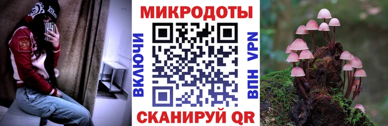 Псилоцибиновые грибы Psilocybine cubensis  Саранск 