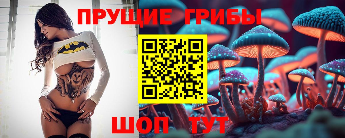 Галлюциногенные грибы прущие грибы Саранск
